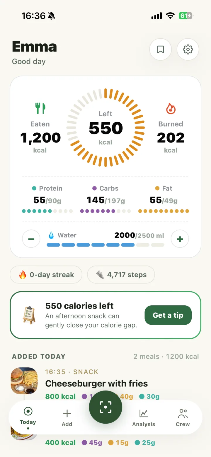 The Cal Crew Today screen showing calories left, macro rings, water intake and the meals logged today